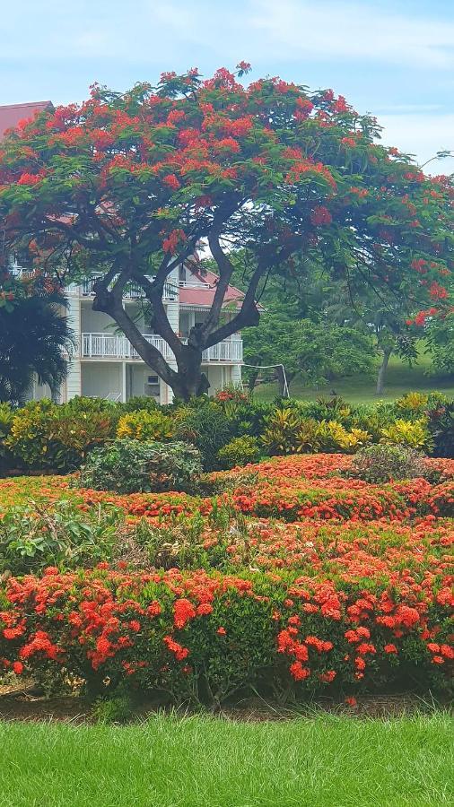 Ti Oasis Trinidad, Studio Vue Mer A Pierre & Vacances Sainte-Luce Eksteriør bilde